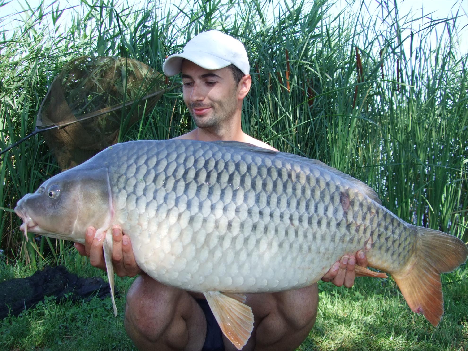 Nagykallo 2012 - picture-046.jpg